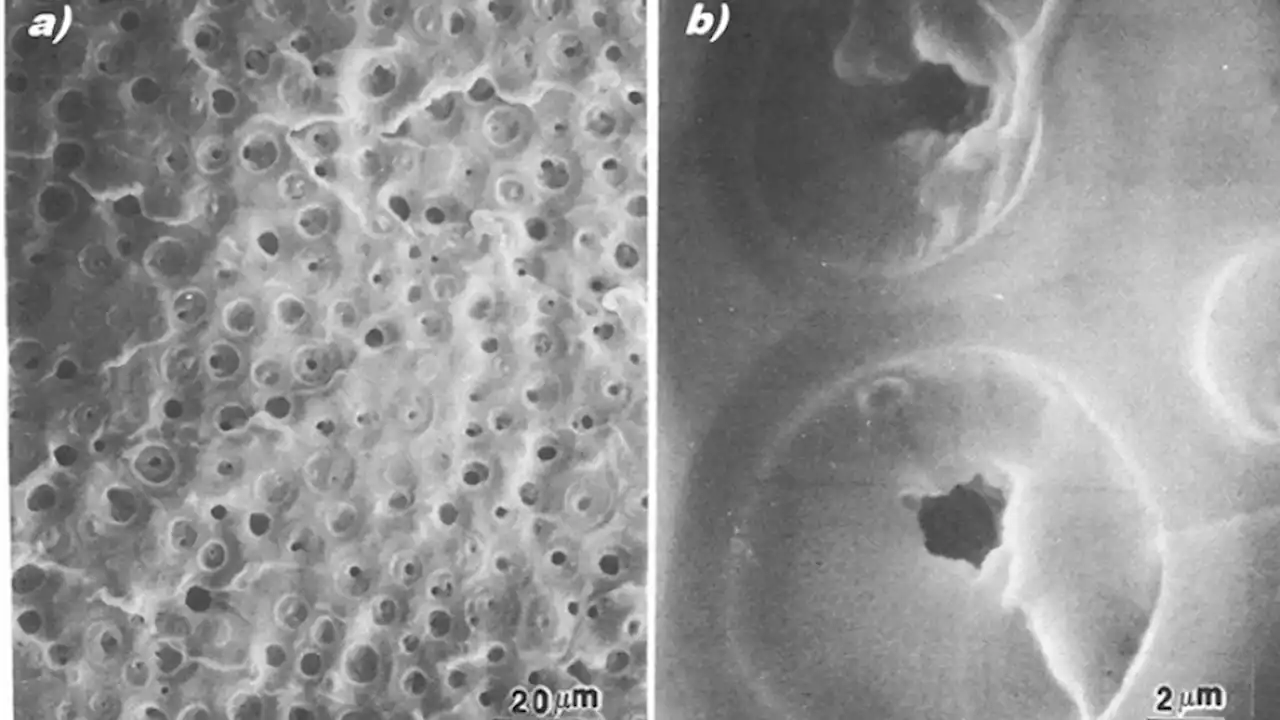 Understanding Cavitation: Tiny Destructive Underwater Implosions