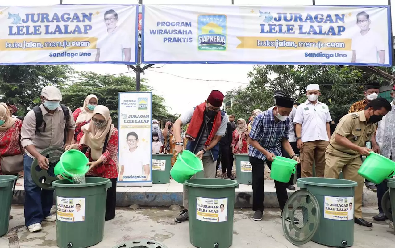 Sandiaga Uno Panen Ratusan Kilogram Ikan Lele Bersama Warga Cakung