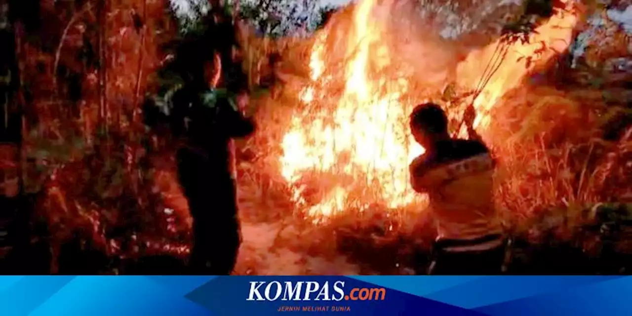 50 Hektar Hutan dan Lahan di Rokan Hulu Riau Terbakar, Petugas Kesulitan Padamkan Api