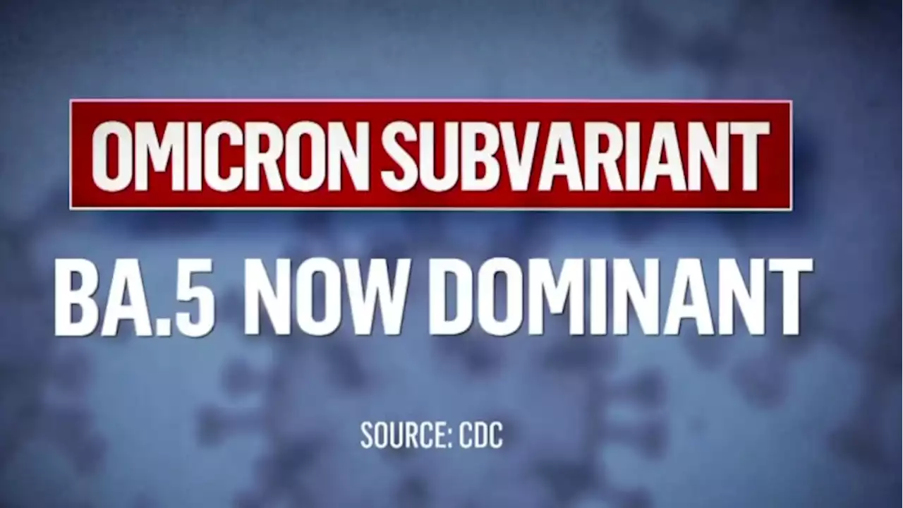 COVID-19 subvariant BA.5 is now the most dominant strain in Houston; It’s also the most contagious