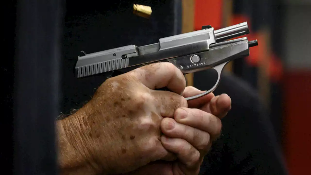 Most gun owners favor modest restrictions but deeply distrust government, poll finds