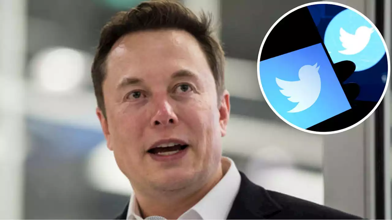 Elon Musk terminates $44b Twitter deal over 'lack of data about bot accounts'