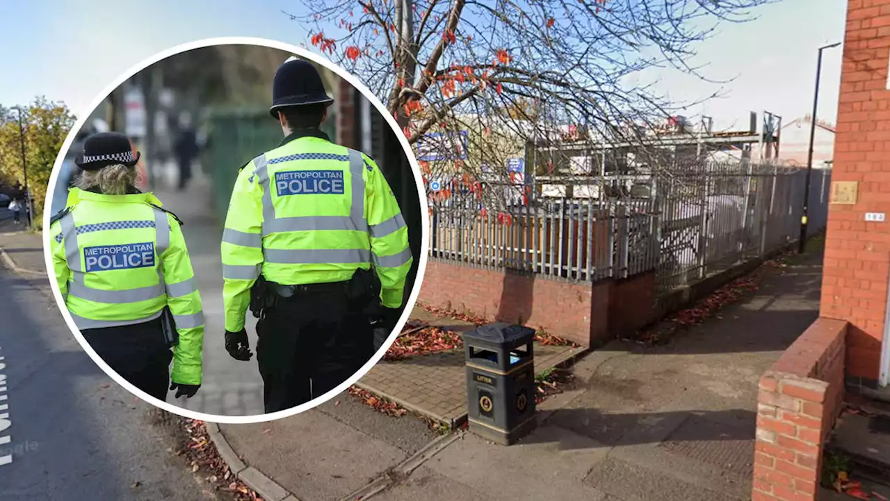 Mother and daughter, 7, 'followed and sexually assaulted on walk home from school'