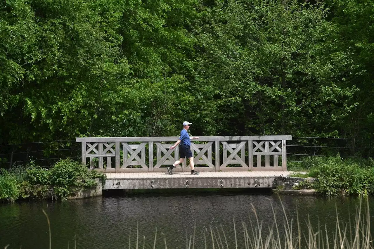 Five of the best parks and places for a picnic or outdoor lunch in Leeds