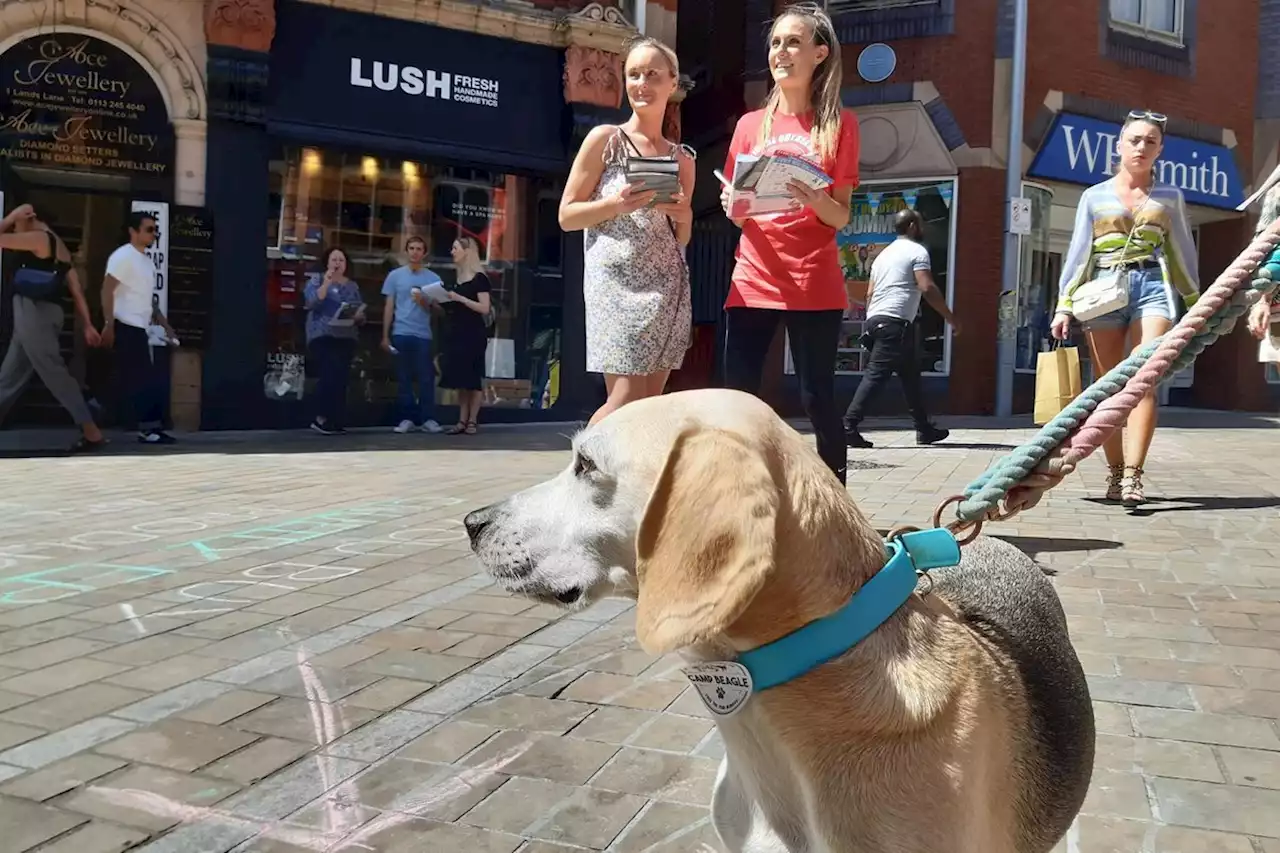 'Something needs to change': Why animal rights activists were protesting in Leeds today