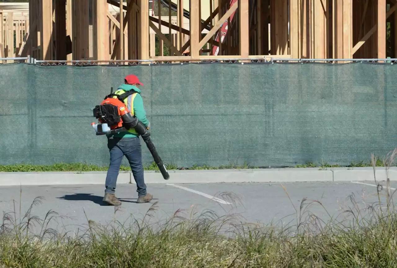 San Rafael to ban gas-powered leaf blowers