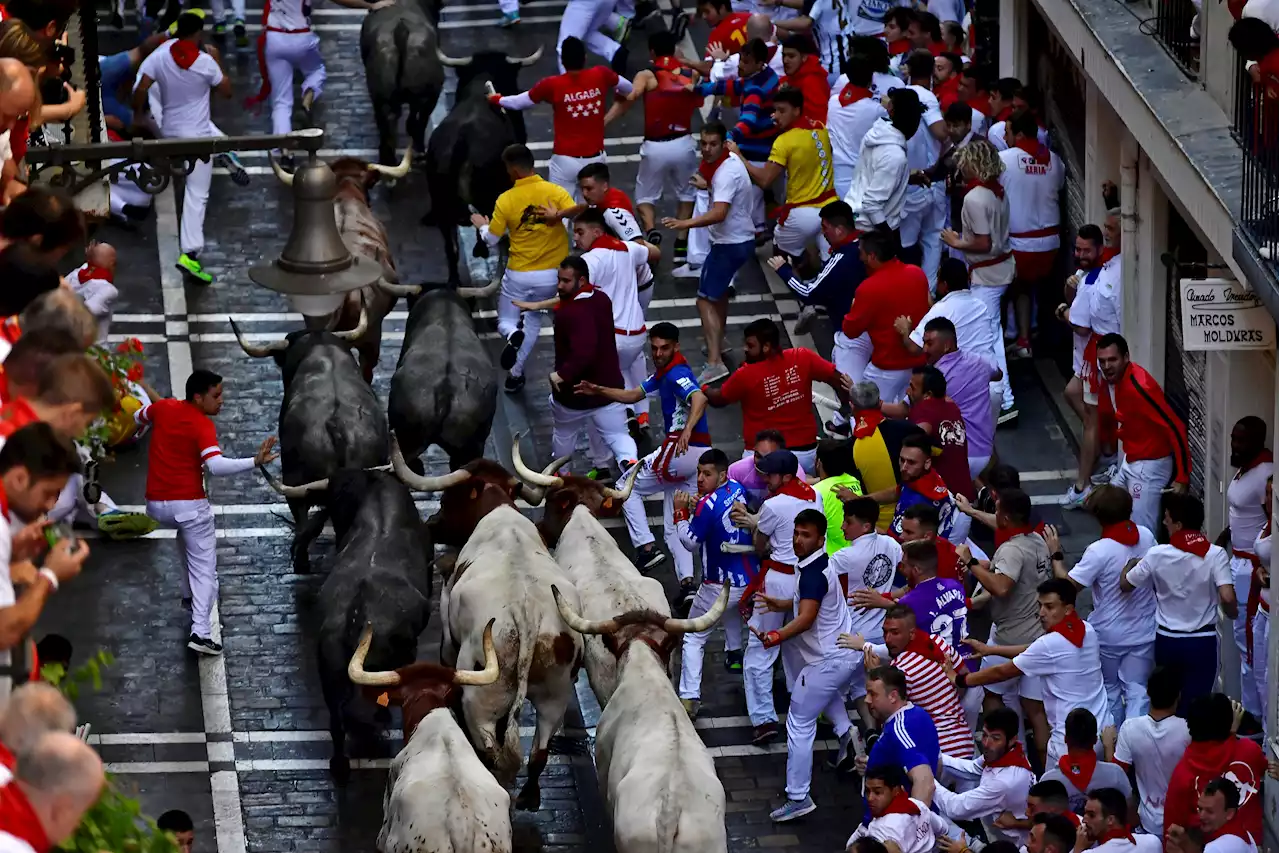 2 men gored while running with bulls at Pamplona festival