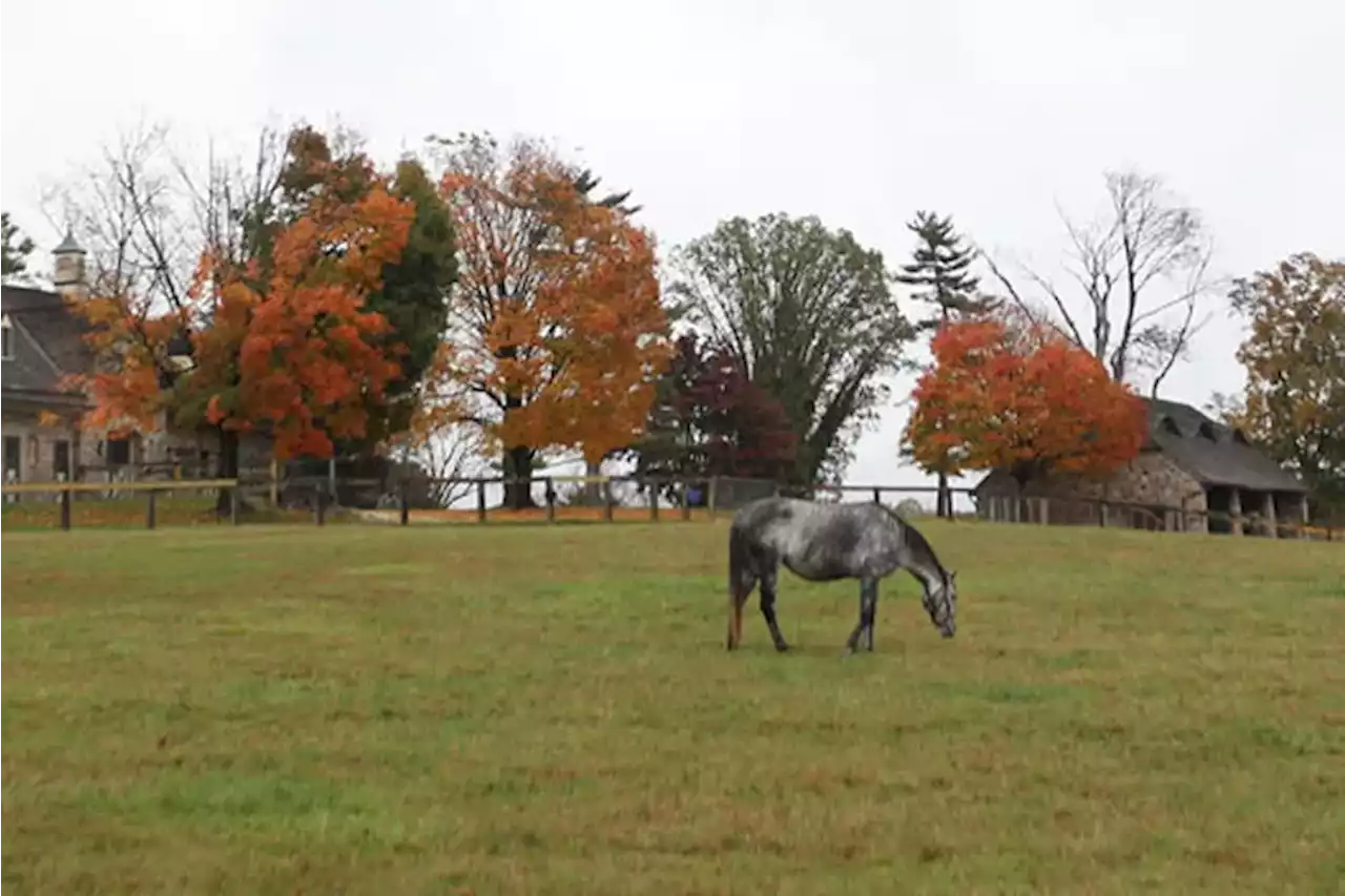 Pa. overrides judge’s recommendation, approves Aqua Pa. takeover of Chesco town’s sewer system