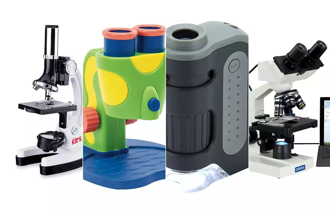 Best microscopes for kids in 2022