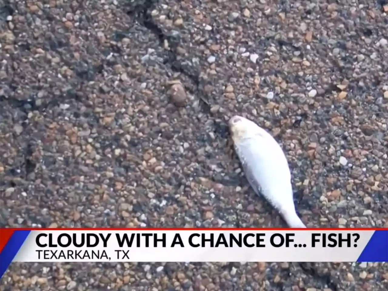 We may know why fish rained from the sky over Texas