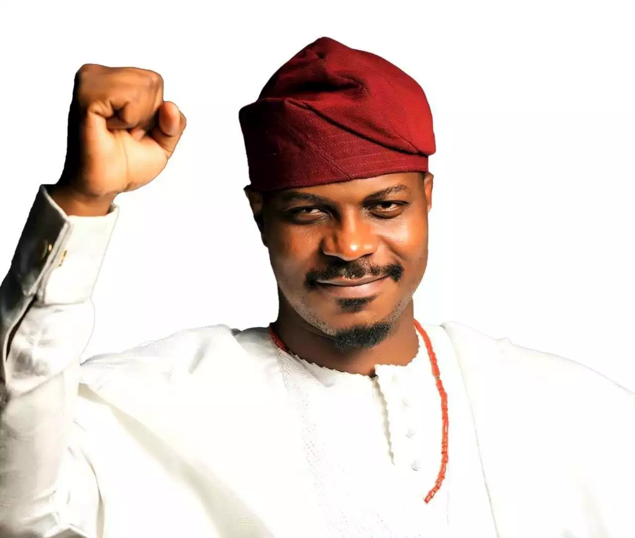 Ex-PDP Lagos guber aspirant, Rhodes-Vivour, joins Labour Party - Premium Times Nigeria