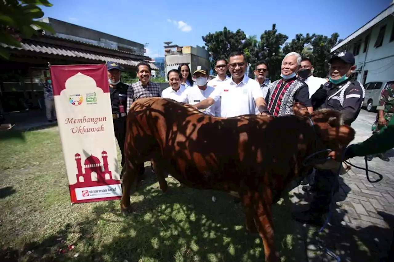 Sinar Mas Land Salurkan Hewan Qurban Sekaligus Kurangi Sampah Plastik |Republika Online