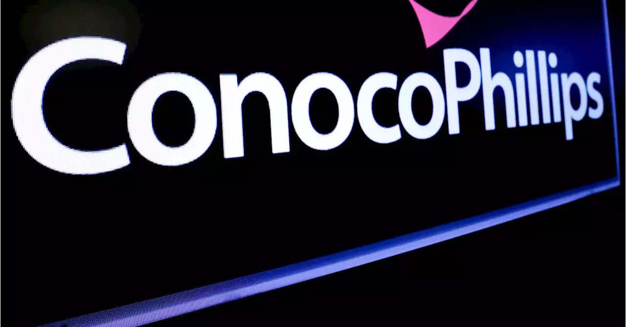 U.S. considering range of options for ConocoPhillips' Willow drilling project