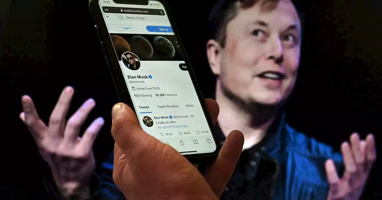 Übernahme geplatzt: Elon Musk will Twitter nicht mehr kaufen