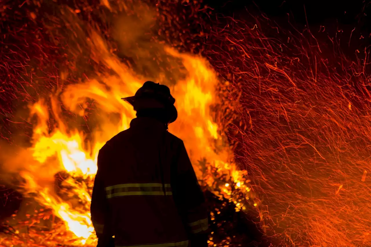 Volunteer Firefighters Have Higher Levels of “Forever Chemicals” in Their Bodies