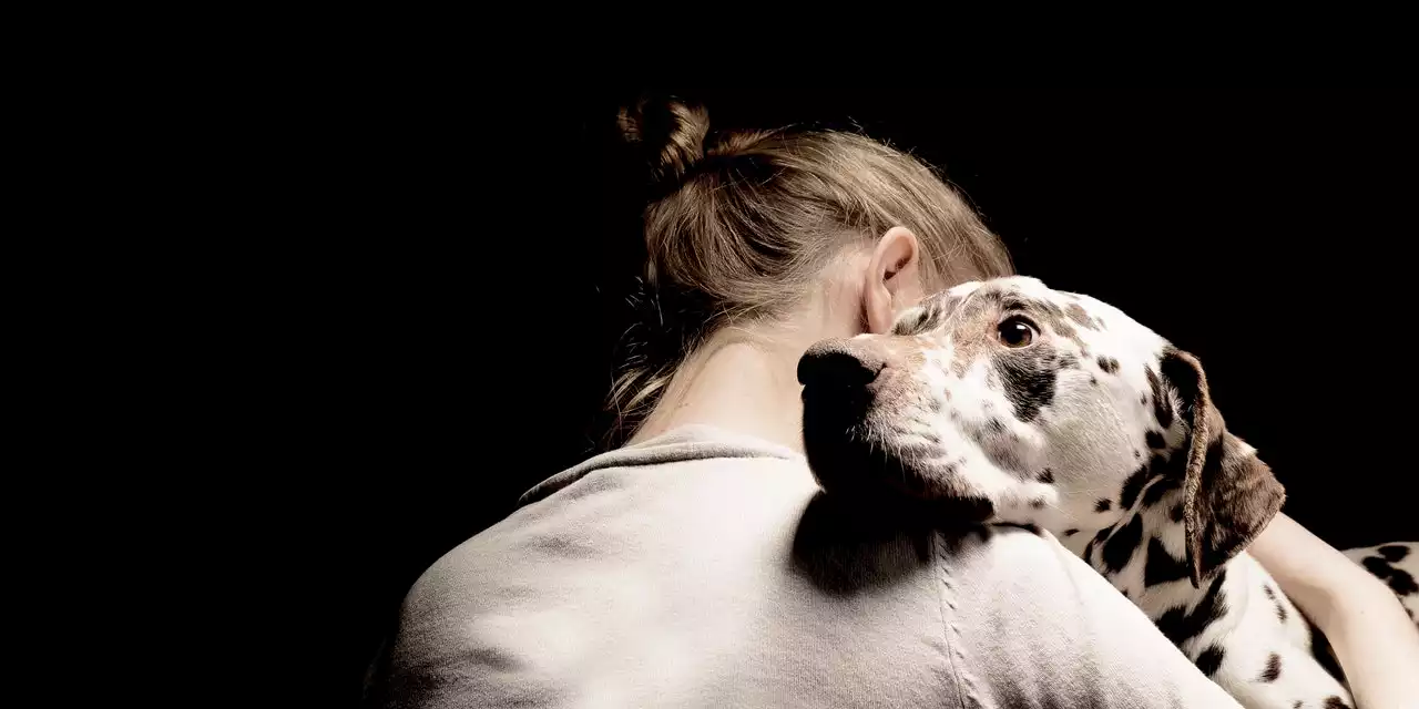 Nobody Can Tell You How to Feel After Losing a Pet