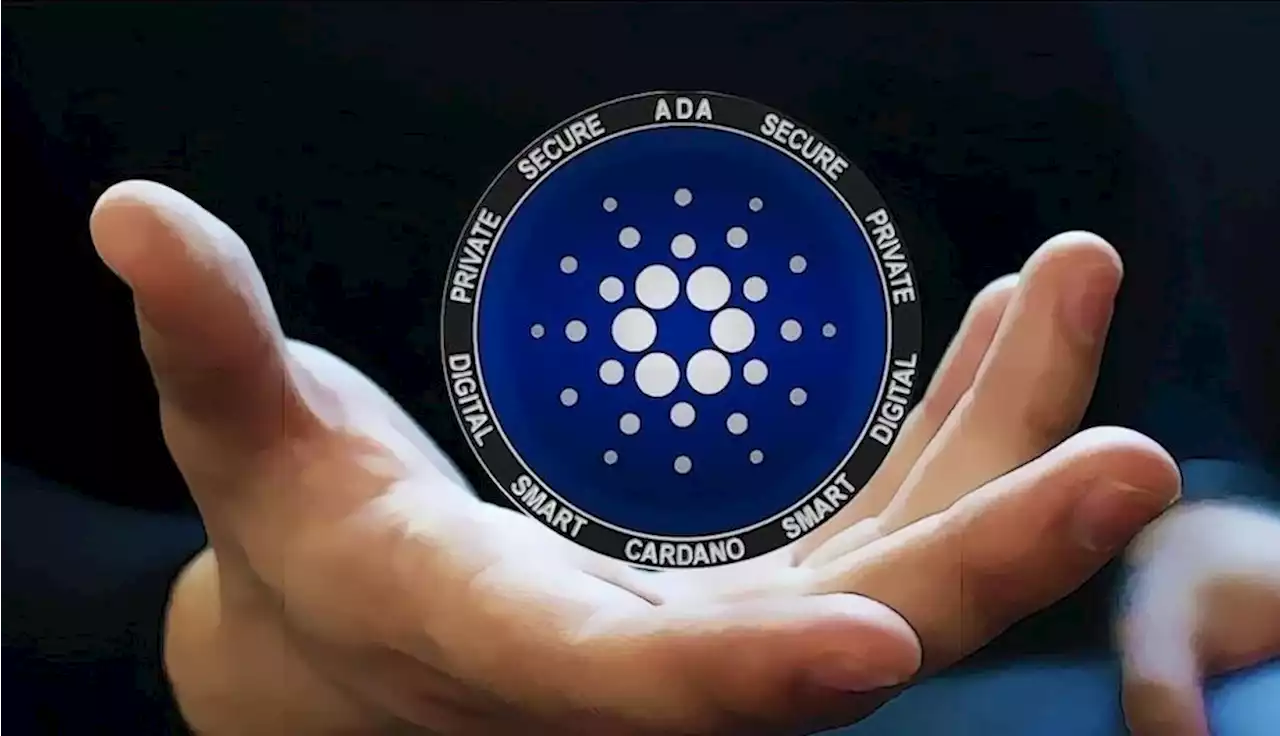 กิจกรรมของนักพัฒนาใน Ecosystem ของ Cardano เริ่มแซง Solana และ Polkadot แล้ว