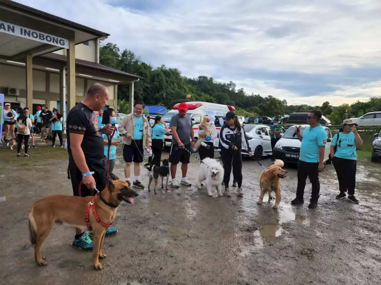 Dogs get out on charity walk to fundraise for shelter