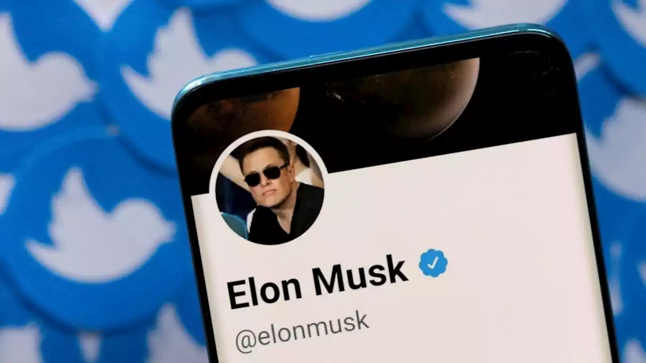 Musk will Twitter nicht mehr kaufen