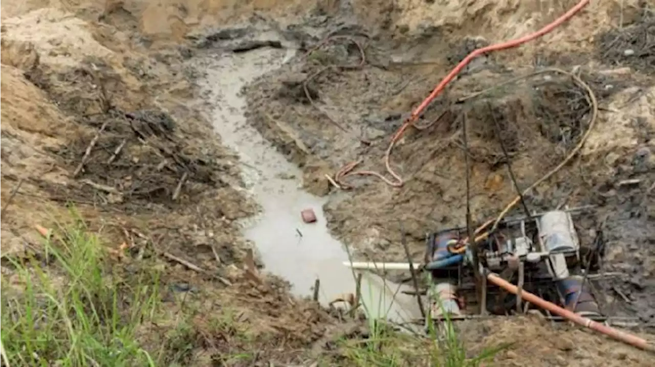 Bukit Menumbing Lokasi Pengasingan Soekarno Dikepung Tambang Ilegal, 981 Hektar Lahan Rusak