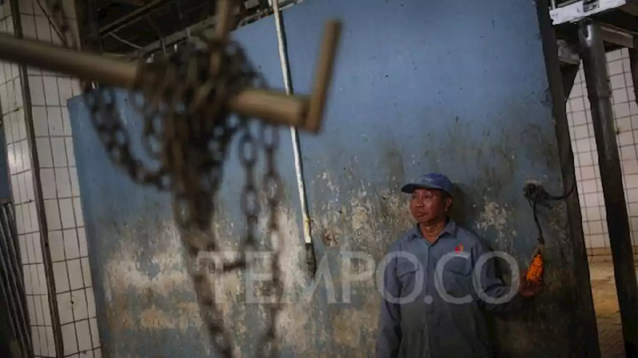 Rumah Potong Hewan Cakung Bersiap Menjelang Idul Adha