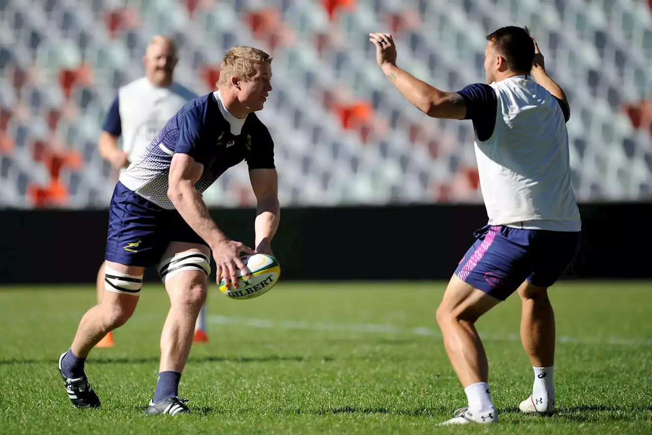 Four things we want to see from the Springboks in Bloem | The Citizen