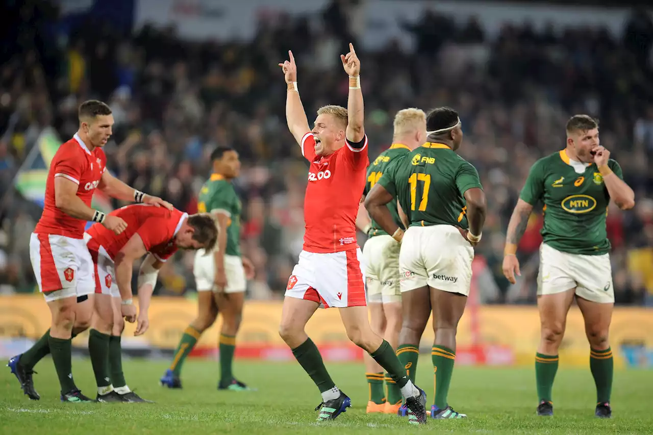 Wales claim historic win over Springboks in Bloemfontein | The Citizen