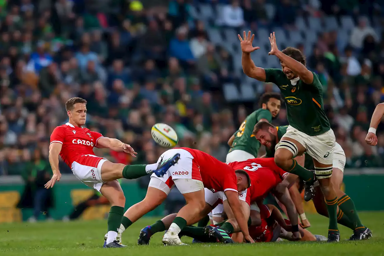 Wales sneak second Test win to level up series against the Springboks | The Citizen