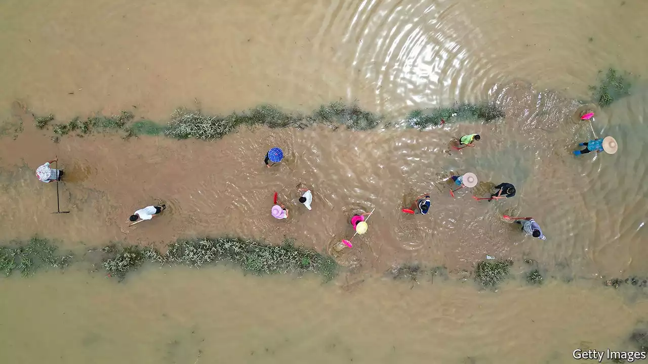 Fewer people are dying in floods in China