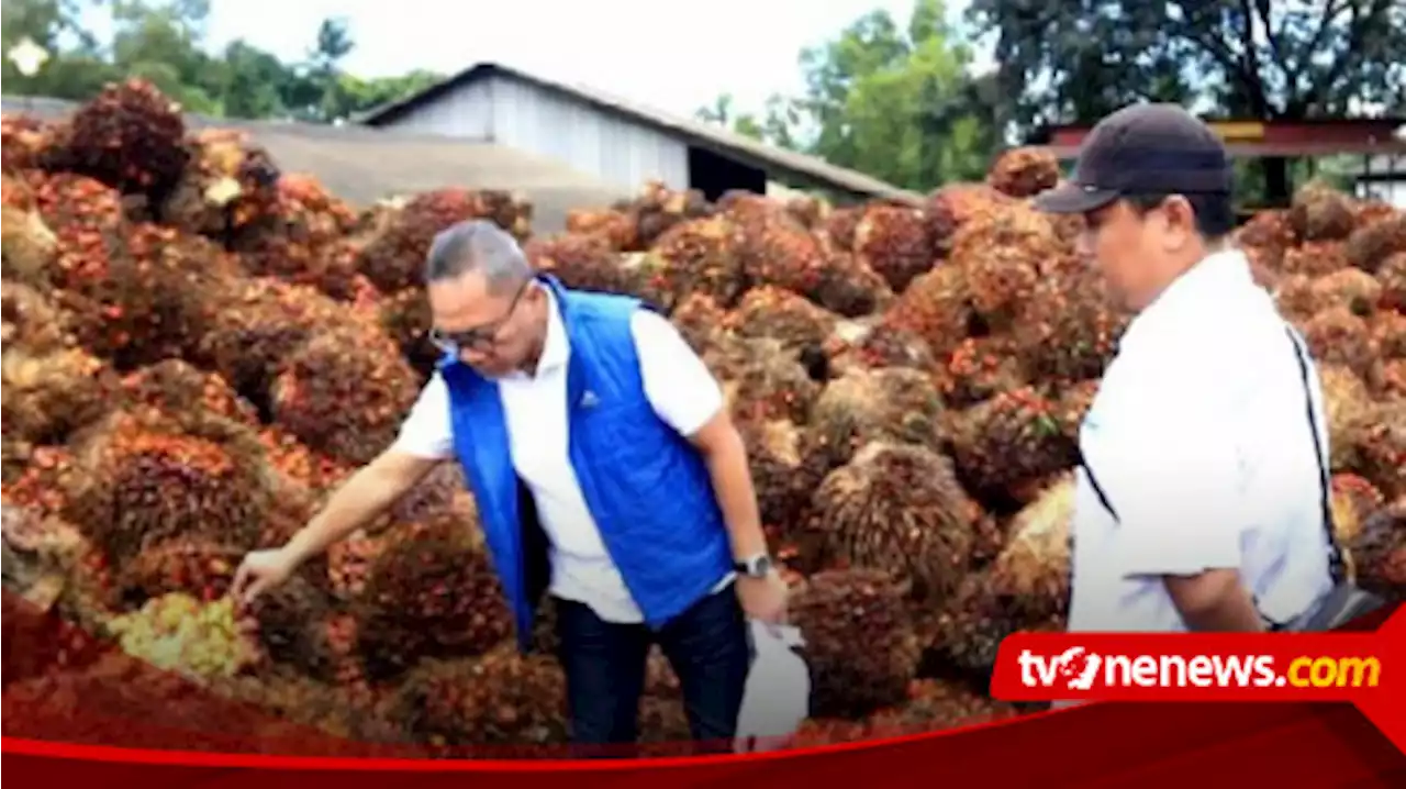 Petani di Lampung Selatan Menangis, Keluhkan Rendahnya Harga Sawit ke Menteri Perdagangan: Tolong Kami Pak