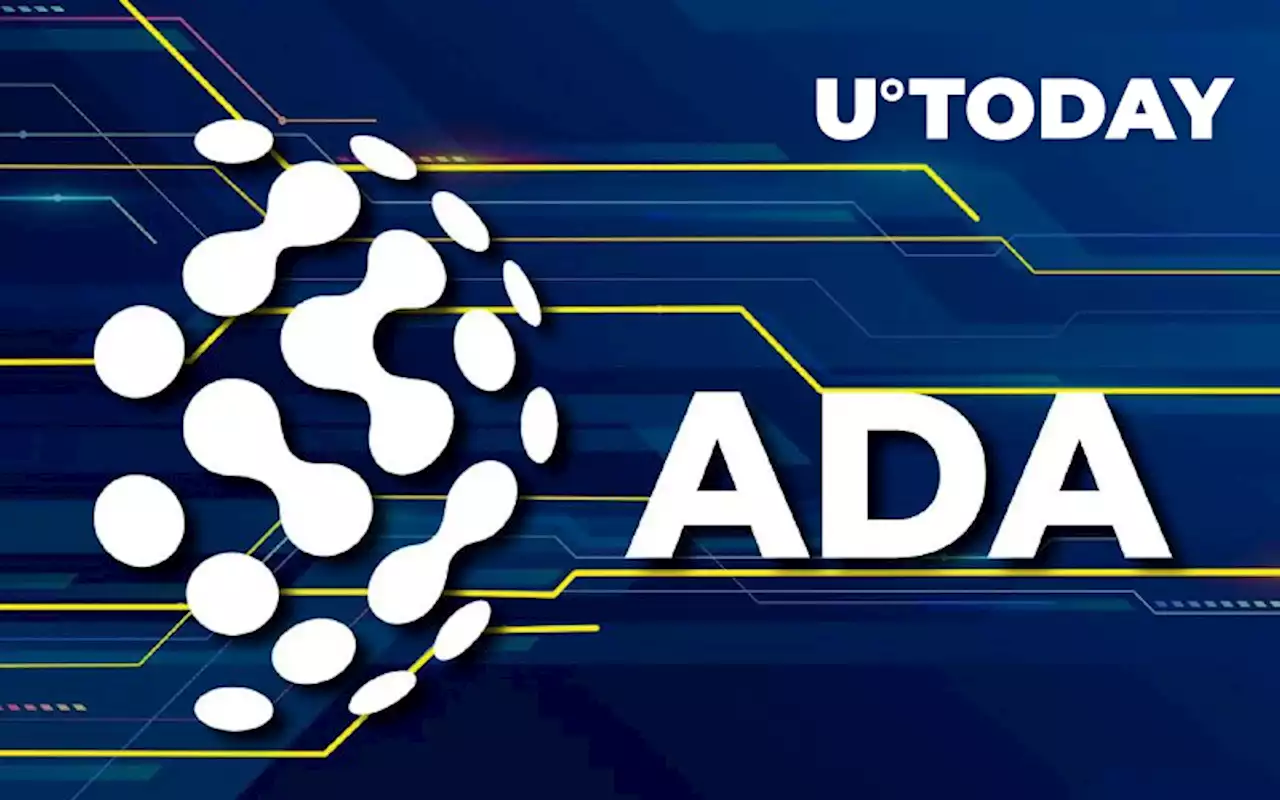 ADA Can Now Be Purchased via Bank Card on Biggest Cardano NFT Marketplace