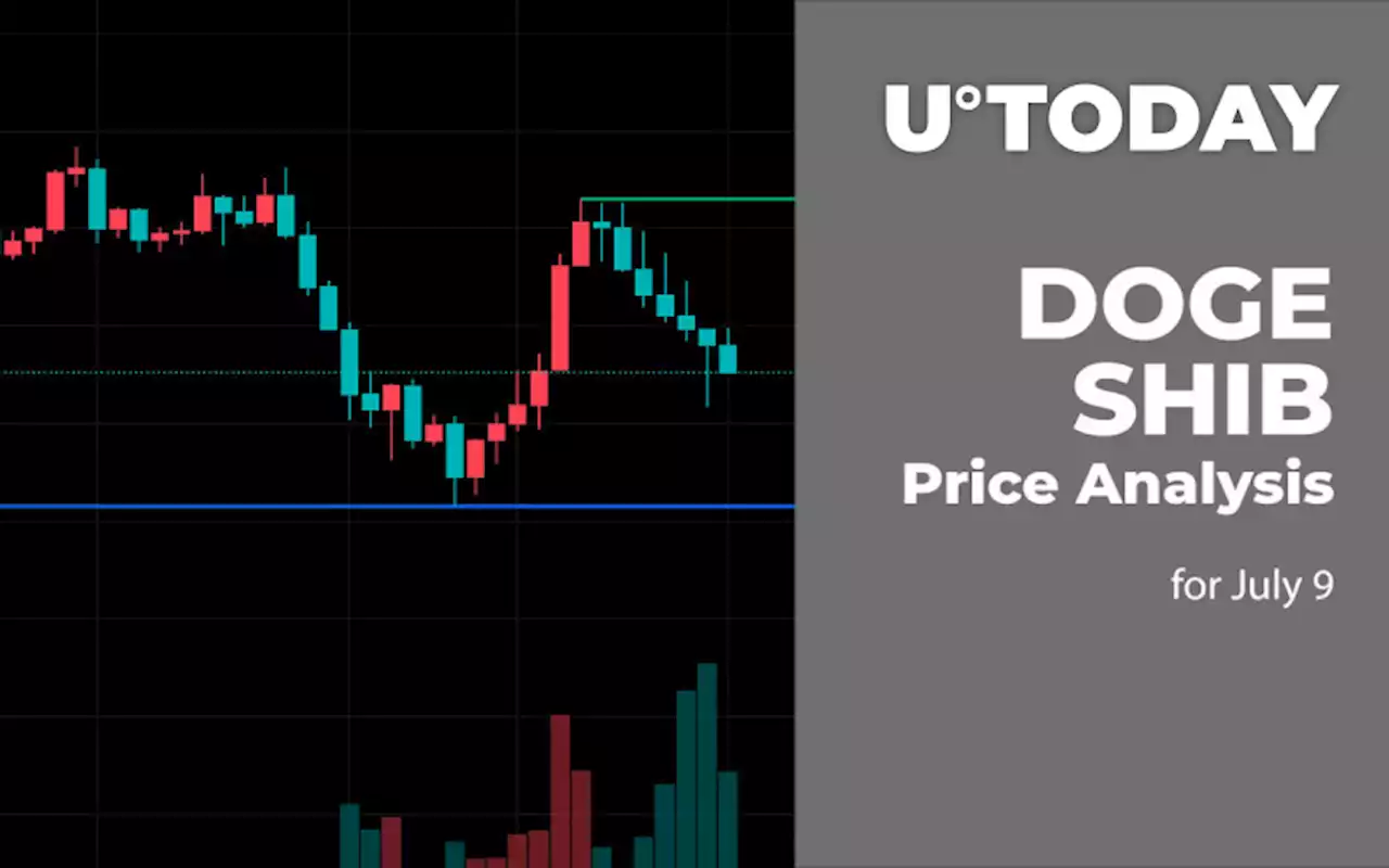 DOGE and SHIB Price Analysis for July 9