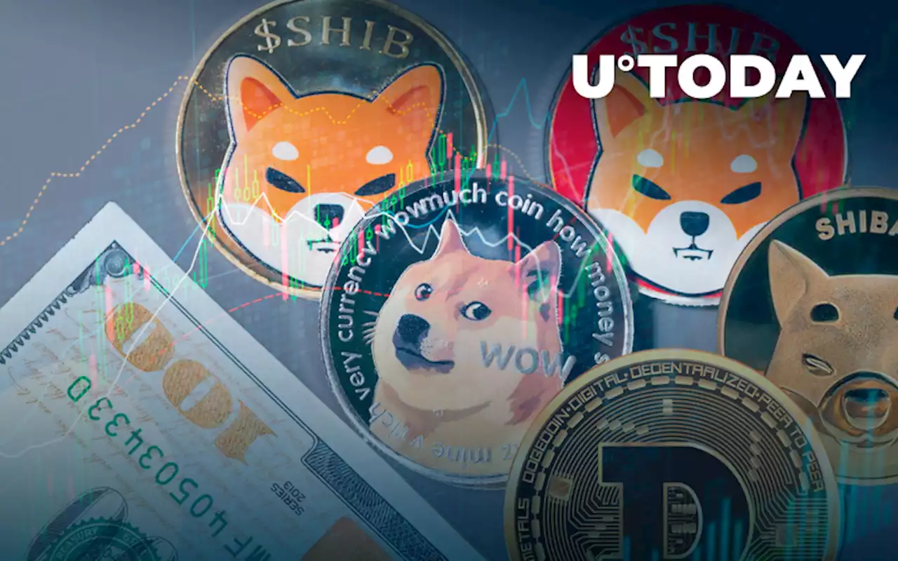 Dogecoin and Shiba Inu Remain Among Most Popular Cryptocurrencies in U.S.