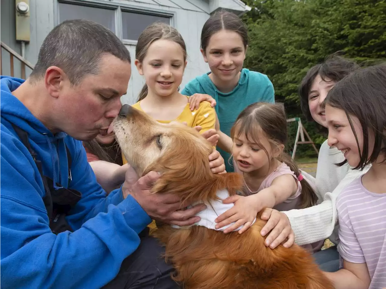 A blind golden retriever missing for weeks is found after its family gave up hope | WNYC | New York Public Radio, Podcasts, Live Streaming Radio, News