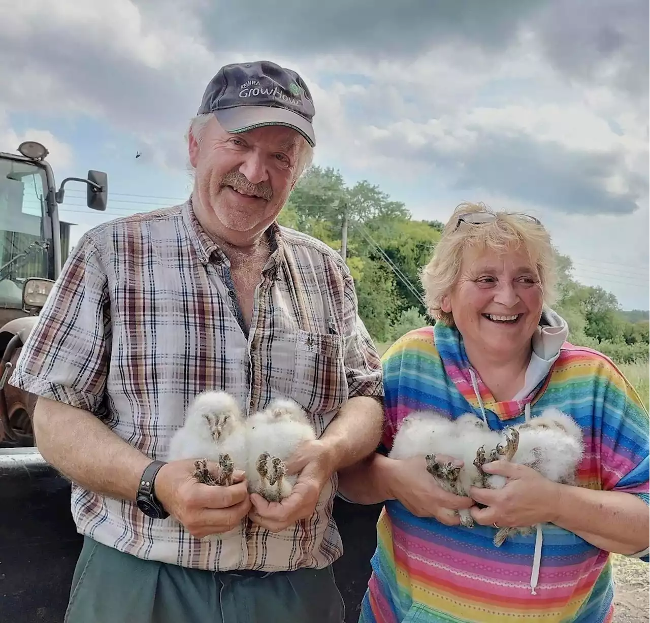 Watch moment CCTV shows baby barn owls learning to fly in Yorkshire barn