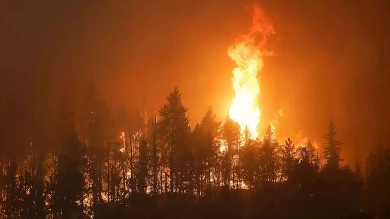 2 dead as McKinney Fire explodes to more than 52,000 acres in California