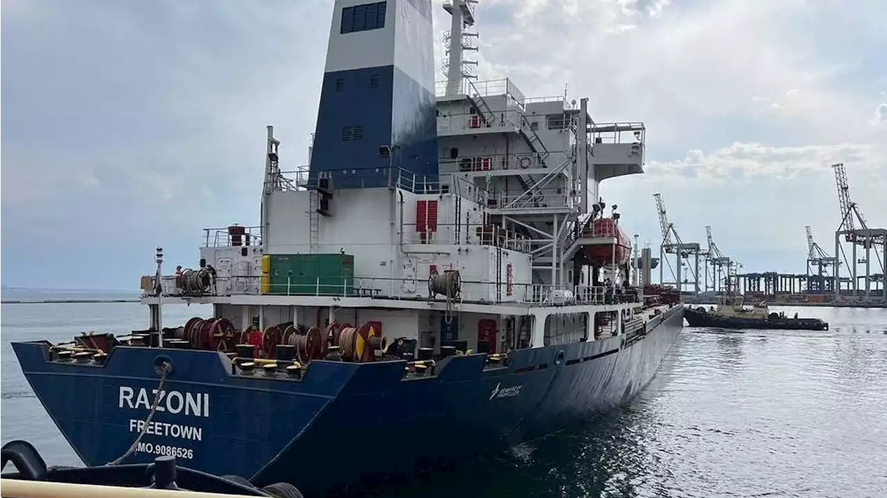 Grain ship departs Ukraine port for first time since Russian blockade