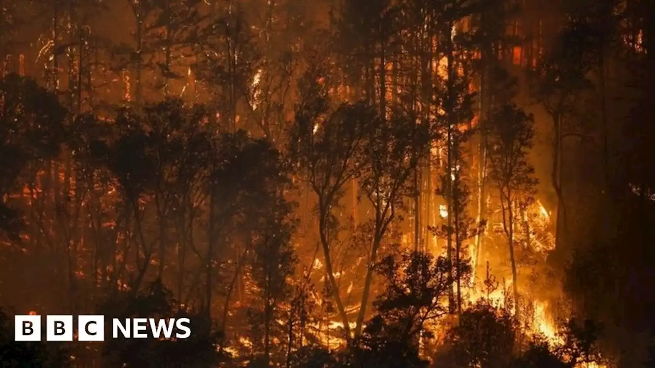 California wildfire: McKinney Fire spreads rapidly in north of state