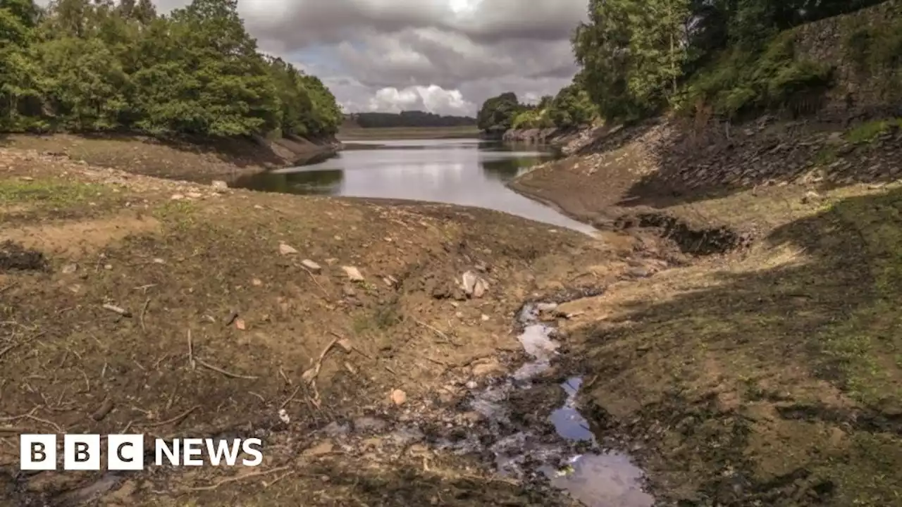 Driest July in England since 1935 - Met Office