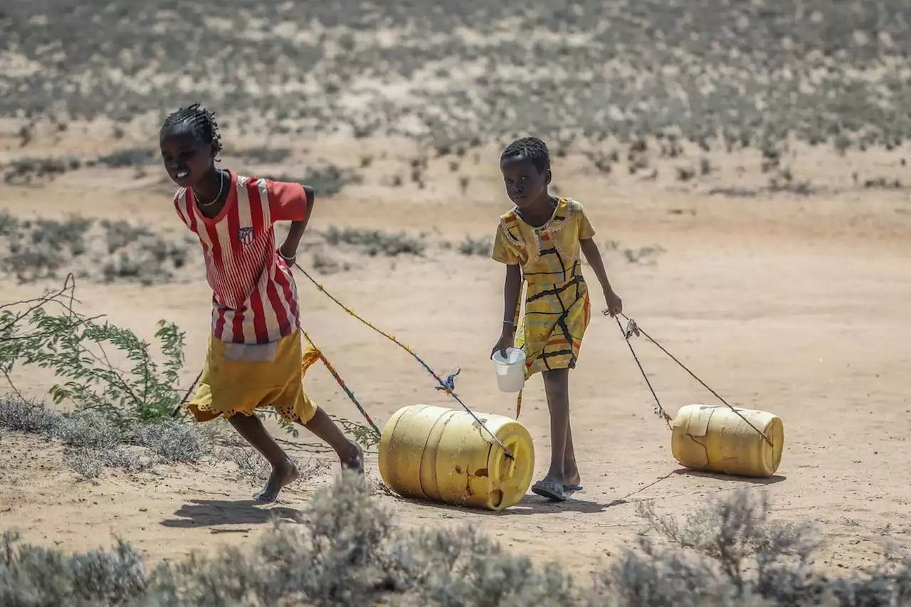 Kampf gegen Hunger: Deutschland stellt 880 Millionen Euro bereit