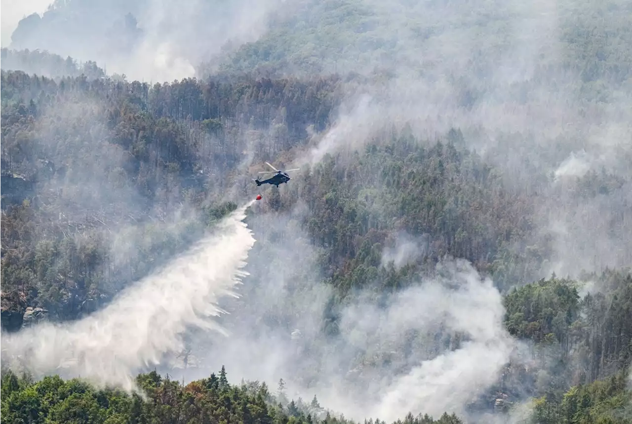 Waldbrände wüten weiter: Flammen-Drama in Sächsischer Schweiz