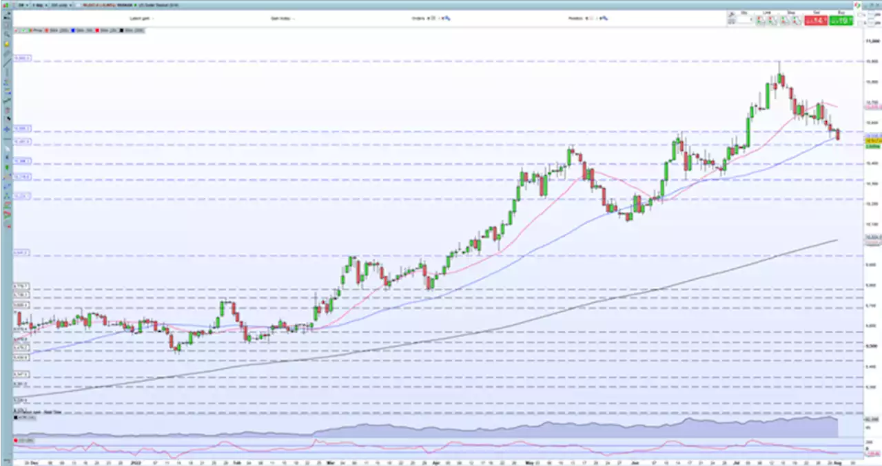 EUR/USD Outlook – Pressing Higher as the US Dollar Loses Its Shine