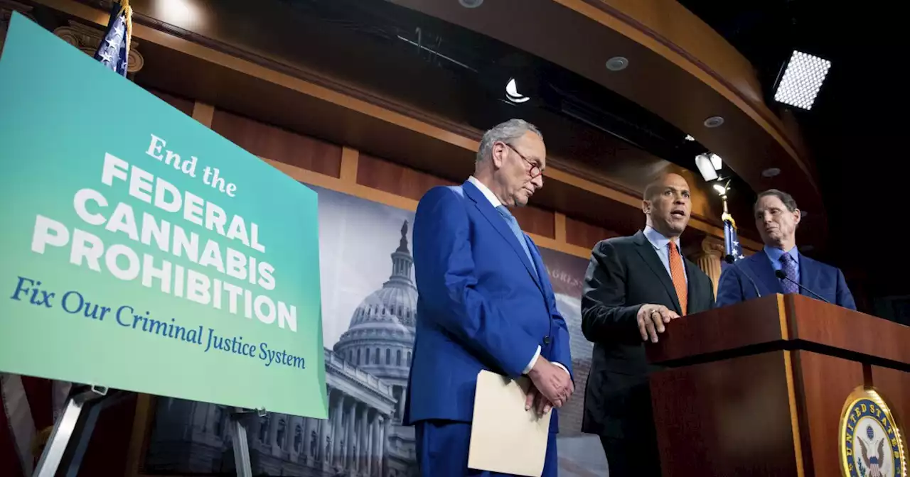 Into the weeds: Here's what's in Senate Democrats' long-awaited marijuana bill