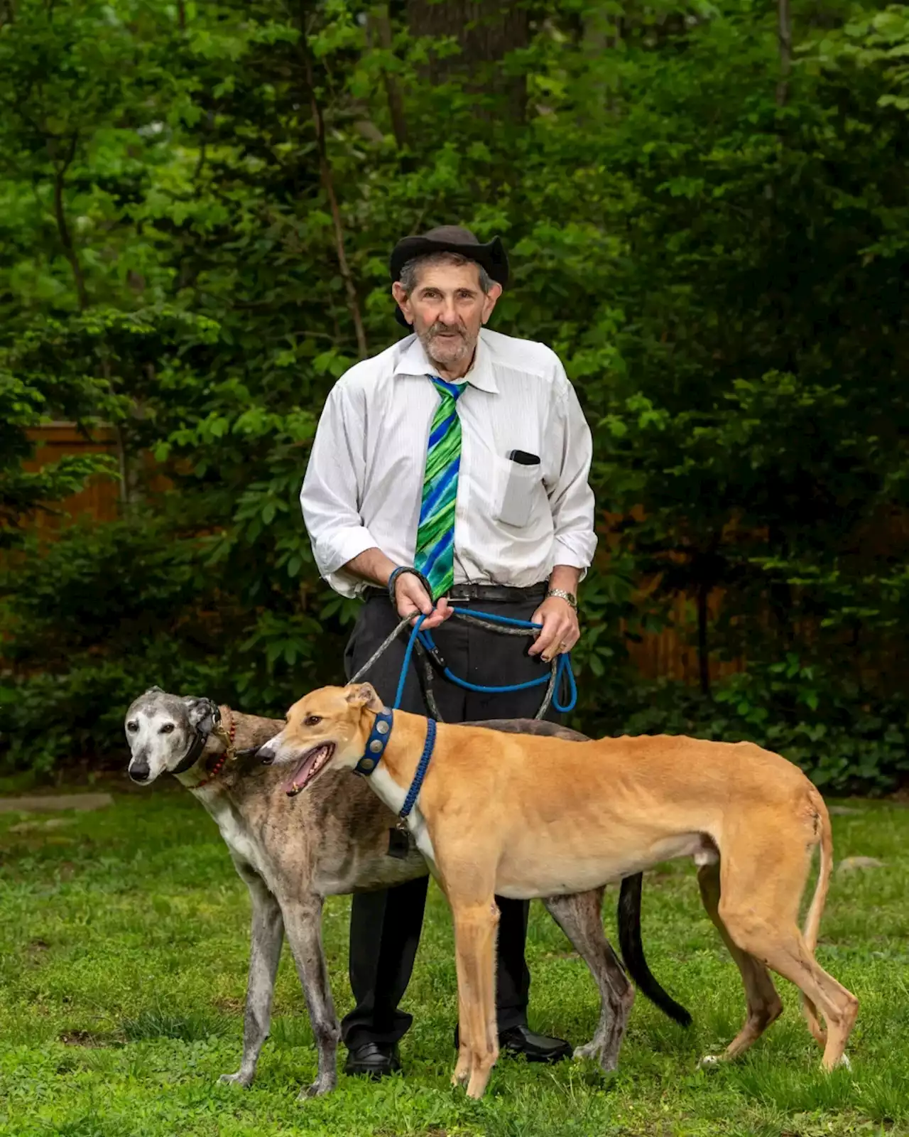 This dog lawyer doesn’t care that you hate him