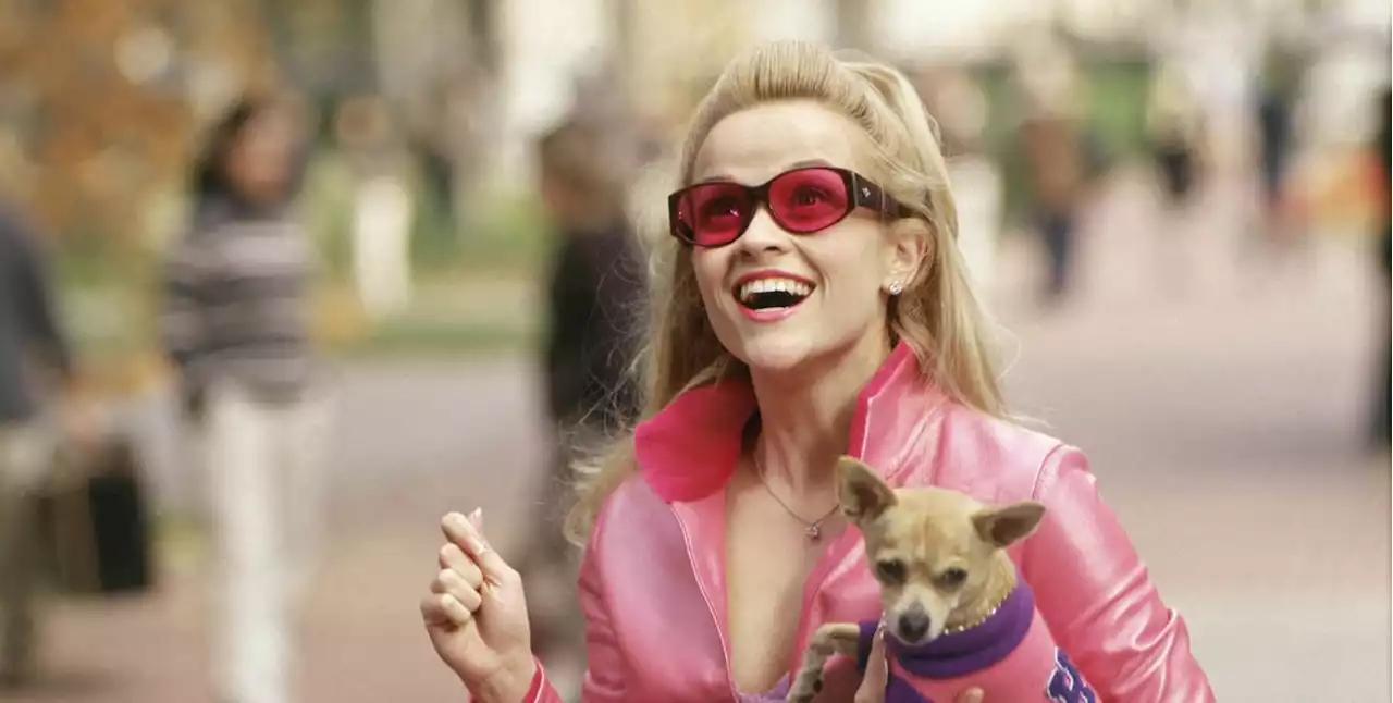 Legally Blonde 3 has been inspired by Top Gun: Maverick