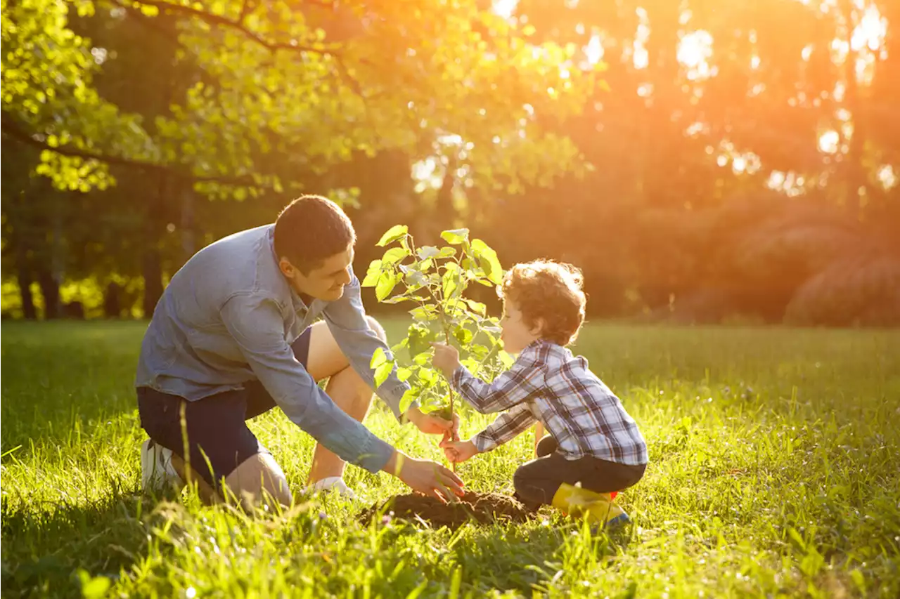 Nature Impacts Children’s Lung Function, Study Suggests