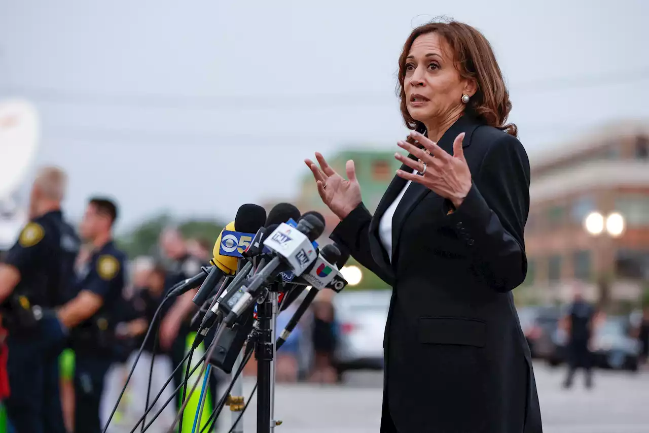 NY Mag highlights Kamala Harris' 'slip in political traction,' says she 'reached an unparalleled low point'