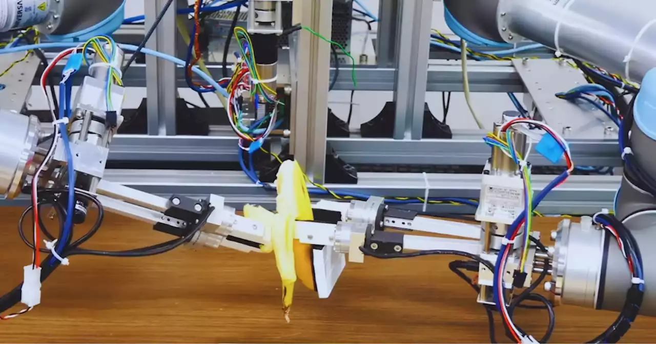 Incredible! This Robot Is So Dexterous That It Can Perfectly Peel a Banana Without Damaging It