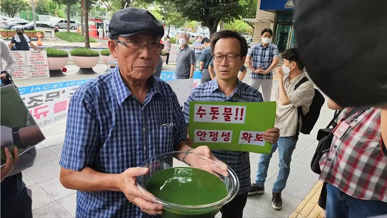 수돗물에서 녹조 독성물질이 나왔는데 문제없다고요?