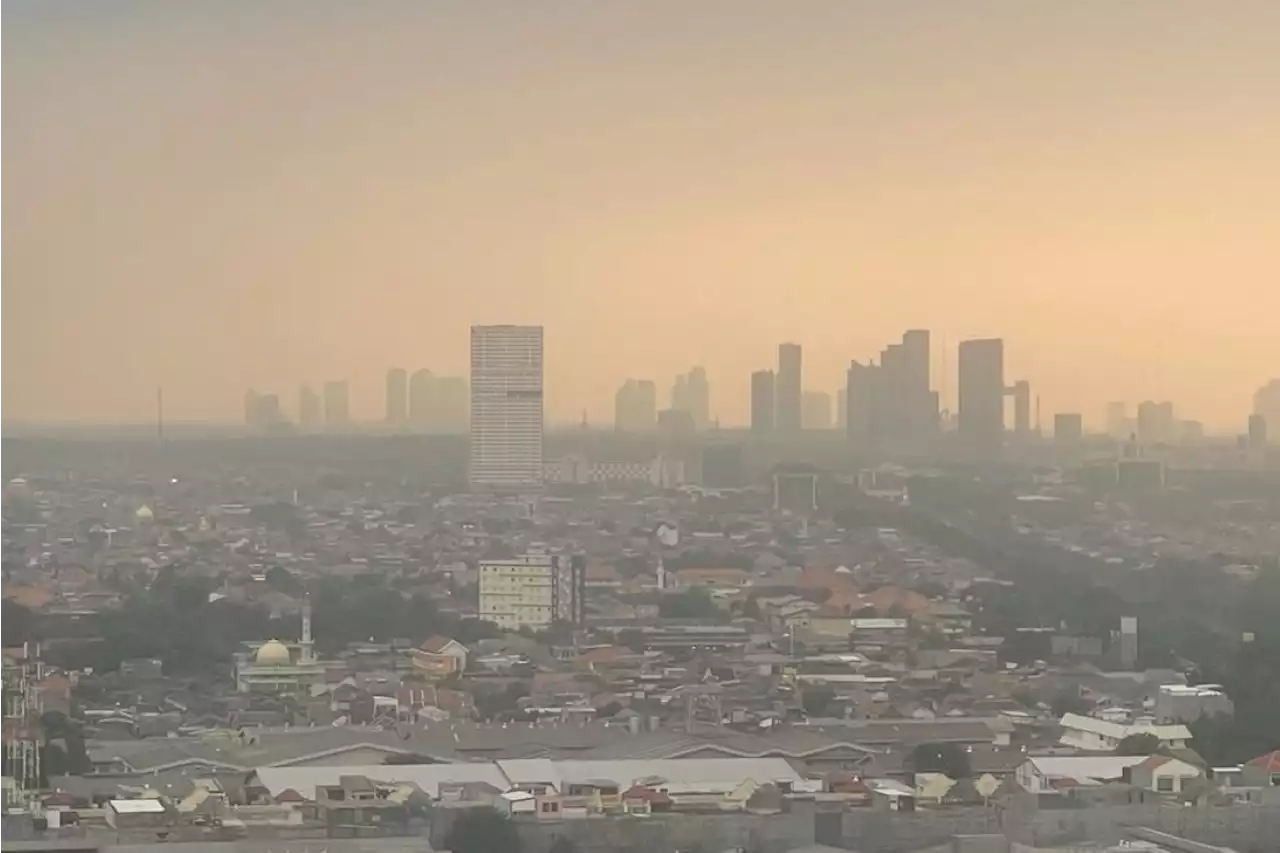 Cuaca Malang Hari Ini: Malam Hingga Subuh Berkabut, Suhu Udara Mencapai 15 Derajat